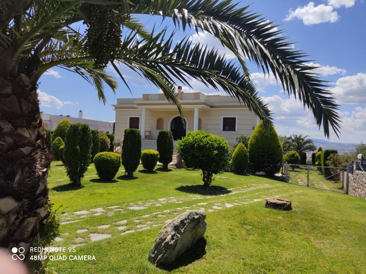 Luxury Villa Thea Volos Ngoại thất bức ảnh