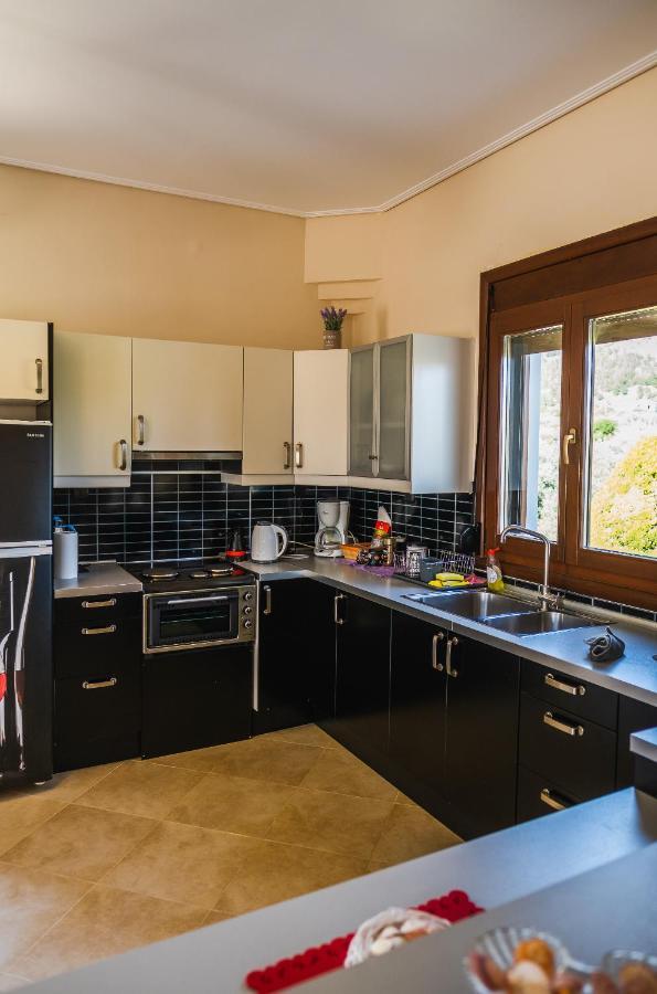 Luxury Villa Thea Volos Ngoại thất bức ảnh