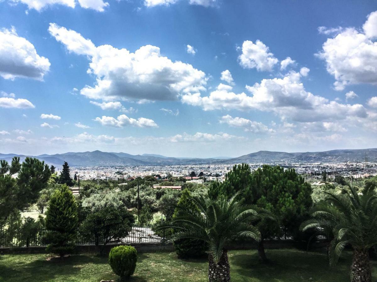 Luxury Villa Thea Volos Ngoại thất bức ảnh